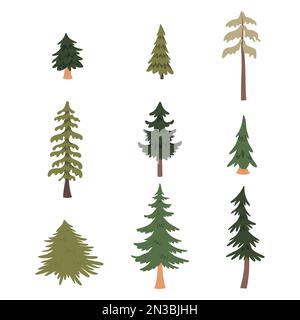 Ensemble de pins forestiers. Illustration vectorielle Illustration de Vecteur