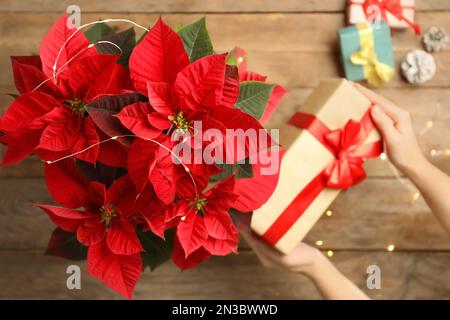 Femme avec cadeau près de poinsettia (fleur de Noël traditionnelle) à une table en bois, vue sur le dessus Banque D'Images