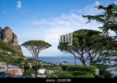 Vue surplombant la côte de la mer Tyrrhénienne et la ville de Capri sur un plateau comme une selle au-dessus de la mer avec le port de l'île, Marina Grande ci-dessous Banque D'Images