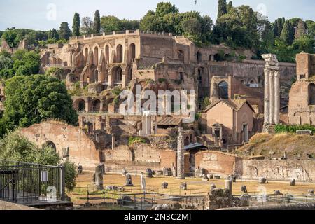 Foro Romano ruines (Forum romain) de la Rome antique avec le Temple de Castor et Pollux, Temple des Dioscuri ; Rome, Italie Banque D'Images