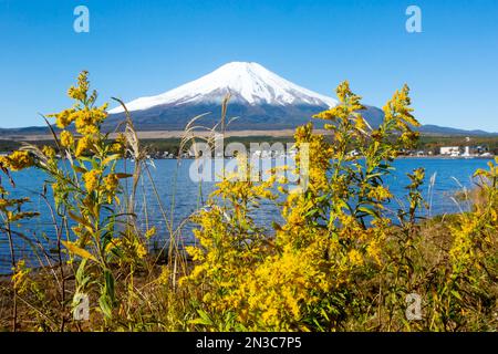 Le mont Fuji, vu depuis le lac Yamanakako (lac Yamanaka), qui est le plus grand des cinq lacs Fuji et a la troisième plus haute altitude de ... Banque D'Images