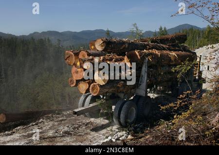 Un camion forestier transporte le bois de la forêt nationale de Tongass jusqu'à une scierie où il sera traité et chargé sur des navires pour l'exportation Banque D'Images