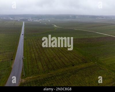 Vue aérienne panoramique d'hiver sur un paysage nuageux, vignobles de vallée près du village de champagne Ludes Premier cru près d'Epernay, production de vin en France Banque D'Images