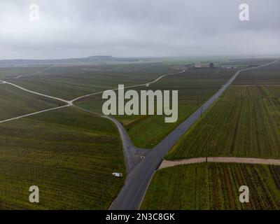 Vue aérienne panoramique d'hiver sur un paysage nuageux, vignobles de vallée près du village de champagne Ludes Premier cru près d'Epernay, production de vin en France Banque D'Images