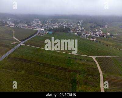 Vue aérienne panoramique d'hiver sur un paysage nuageux, vignobles de vallée près du village de champagne Ludes Premier cru près d'Epernay, production de vin en France Banque D'Images