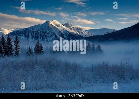 Le brouillard se lève lentement dans la vallée suite à une neige matinale à Juneau près du glacier Mendenhall et des sommets environnants dans le Tongass Nationa... Banque D'Images