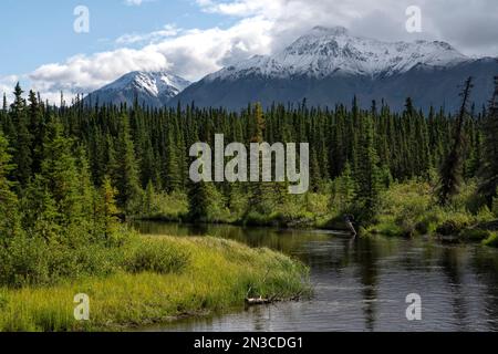 La rivière Jarvis serpente dans les montagnes dans le magnifique paysage du Yukon ; Yukon, Canada Banque D'Images