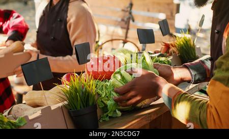 Personne âgée achetant une boîte remplie de bio produits biologiques provenant du marché agricole local stand, une alimentation saine. Fournisseur masculin donnant des fruits et légumes naturels maison. Prise de vue à main levée. Banque D'Images