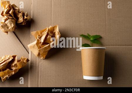 Gros plan de morceaux de papier et de gobelet avec plante sur fond de carton avec espace de copie Banque D'Images