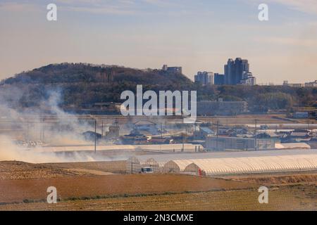 La fumée du feu s'élève au-dessus des fermes et des champs par des maisons dans la zone rurale Banque D'Images