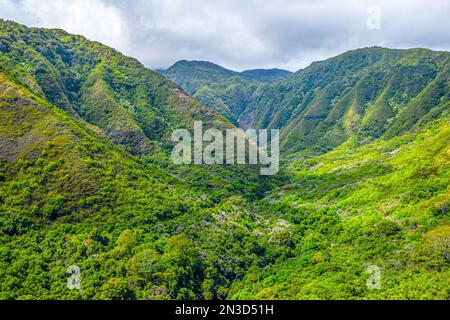 Vue aérienne du flanc de montagne luxuriant et des pentes boisées de Waihee Ridge dans les montagnes West Maui ; Maui, Hawaii, États-Unis d'Amérique Banque D'Images