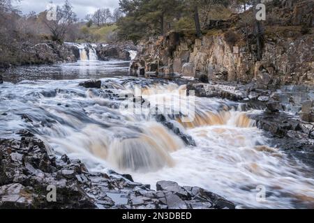 Un jet rapide River Tees tombe sur plusieurs chutes dans le nord de l'Angleterre ; Low Force, Teesdale, Angleterre Banque D'Images