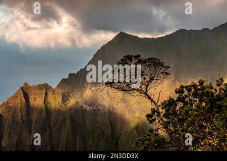 Nuages gris sur pu'u o Kila belvédère sur Kauai, un endroit spectaculaire qui offre une vue panoramique sur la vallée de Kalalau dans le canyon de Waimea Banque D'Images