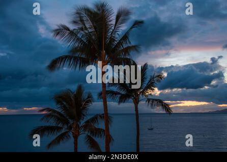 Palmiers et vue sur l'océan au coucher du soleil sur l'île de Maui à Hawaï ; Maui, Hawaï, États-Unis d'Amérique Banque D'Images