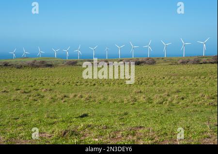 Rangée d'éoliennes sur la Grande île d'Hawaï, située à South point le long de l'autoroute 11. L'électricité éolienne a fortement augmenté à Hawaï, provi... Banque D'Images