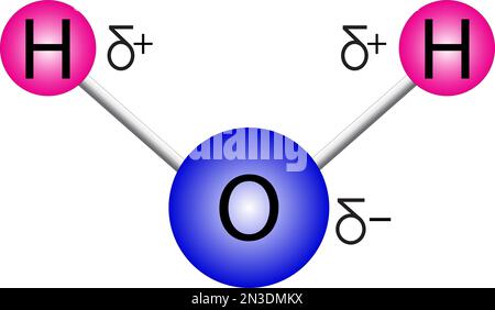 image vectorielle de la structure des molécules d'eau avec charges Illustration de Vecteur