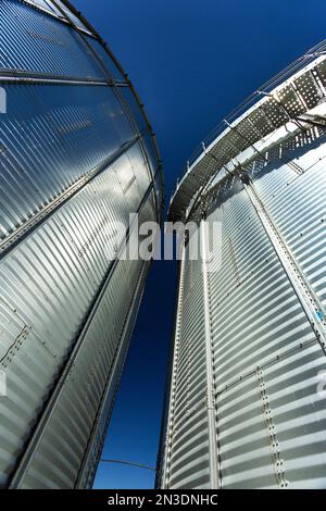 Gros plan et faible angle de trémies à grains métalliques à ciel bleu; sud-est de Calgary, Alberta, Canada Banque D'Images