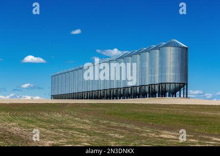 Une rangée de grandes trémies à grains métalliques dans un champ avec des nuages et un ciel bleu; au sud-est de Calgary, Alberta, Canada Banque D'Images