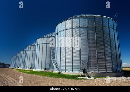 Rangée de grandes trémies à grains métalliques à ciel bleu; au sud-est de Calgary, en Alberta, au Canada Banque D'Images