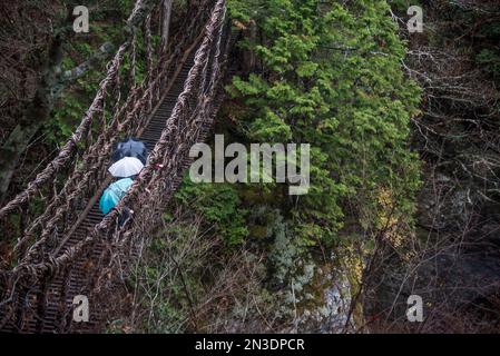 Les touristes sous des parasols de pluie regardent depuis un pont de corde vers la vallée d'Iya au Japon, une vallée montagneuse isolée dans l'ouest de la préfecture de Tokushima sur Shi... Banque D'Images