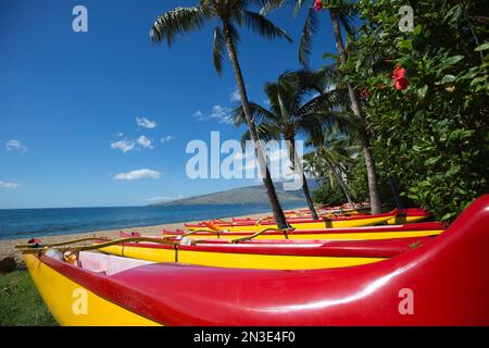 Une rangée de canoës hawaïens colorés Outrigger alignés sur la plage à l'extrémité nord de Kihei ; Kihei, Maui, Hawaï, États-Unis d'Amérique Banque D'Images