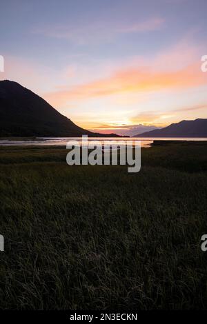 Des terres humides herbeuses le long de la rive du ruisseau Resurrection tandis que le soleil se couche derrière l'horizon silhoueté avec une lueur rose sur le bras Turnagain Banque D'Images