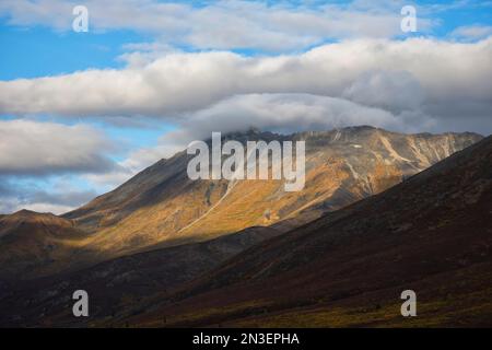 Le paysage est lumineux de couleur alors que l'automne s'installe dans les plantes le long de la route Dempster du Yukon ; Dawson City, Yukon, Canada Banque D'Images