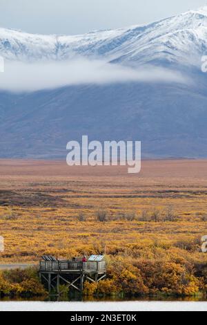 Femme debout sur une plate-forme d'observation surplombant Two Moose Lake, à la recherche d'orignal, avec des couleurs d'automne et des montagnes majestueuses qui l'entourent... Banque D'Images