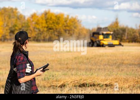 Une femme utilisant des appareils sans fil portables pour gérer et surveiller une récolte de canola d'automne avec une moissonneuse-batteuse travaillant en arrière-plan Banque D'Images