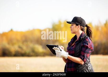 Une femme debout dans un champ utilisant un appareil sans fil portatif pour gérer et surveiller une récolte de canola automnale ; Alcomdale, Alberta, Canada Banque D'Images