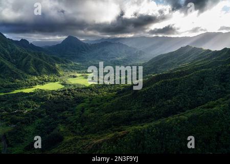 Végétation luxuriante sur un paysage montagneux Banque D'Images