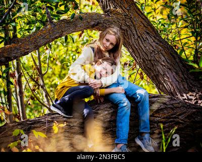 Deux sœurs posant pour une photo tout en profitant de la compagnie de l'autre et en jouant ensemble sur une grande branche d'arbre dans la forêt pendant une chaude journée d'automne... Banque D'Images