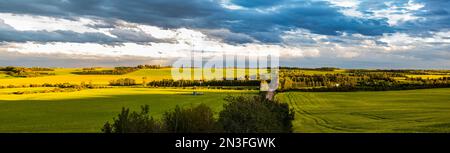 Vue panoramique de la vallée de la rivière Sturgeon avec des cultures de canola en pleine floraison au coucher du soleil ; Namao, Alberta, Canada Banque D'Images