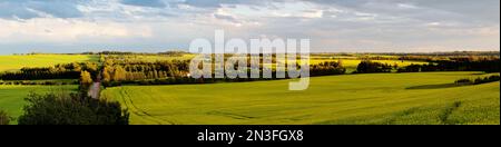 Vue panoramique de la vallée de la rivière Sturgeon avec des cultures de canola en pleine floraison au coucher du soleil ; Namao, Alberta, Canada Banque D'Images