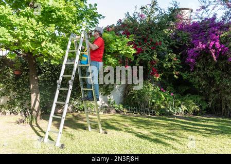 Homme âgé avec masque et lunettes pulvérisant un insecticide sur les plantes de son jardin. Banque D'Images