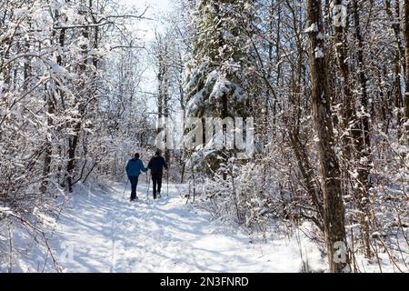 Couple marchant sur un sentier enneigé avec des bâtons de randonnée dans une forêt enneigée, Rainbow Valley Park, Edmonton; Edmonton, Alberta, Canada Banque D'Images