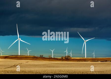 Grandes éoliennes métalliques dans un champ de chaume avec arc Chinook et ciel bleu, au nord de Glenwood, Alberta; Alberta, Canada Banque D'Images