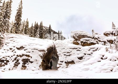 Homme mûr avec son chien explorant le pont naturel sur la rivière Kicking Horse dans le parc national Yoho ; Colombie-Britannique, Canada Banque D'Images