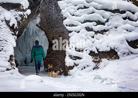 Homme mûr avec son chien explorant le pont naturel sur la rivière Kicking Horse dans le parc national Yoho ; Colombie-Britannique, Canada Banque D'Images