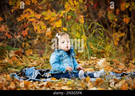 Portrait extérieur d'une petite fille avec le syndrome de Down, assis dans un parc aux couleurs de l'automne; St. Albert, Alberta, Canada Banque D'Images