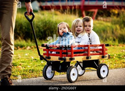 Un père tirant ses jeunes enfants dans un wagon dans un parc de la ville pendant la saison d'automne et sa petite fille a le syndrome de Down; St. Albert, Alberta, Canada Banque D'Images