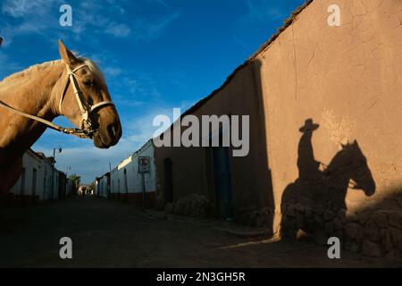 Cheval et cavalier projettent une ombre sur un mur d'adobe ; San Pedro de Atacama, Chili Banque D'Images