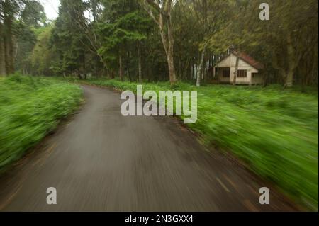 Blur implique le mouvement de conduite sur une route pavée près du parc national de CUC Phuong au Vietnam; Ho Chi Minh, Ninh Binh, Vietnam Banque D'Images
