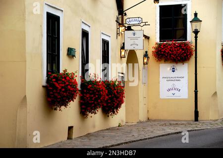 Autriche, Vienne, Grinzing, Pasauerhof Grinzing, a Heuriger (bar à vins/restaurant) Banque D'Images