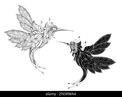 Un oiseau-colibris imaginaire dessiné, avec un contour, une silhouette, une fleur exotique et des ailes en plumeria le profilée et détaillée Illustration de Vecteur