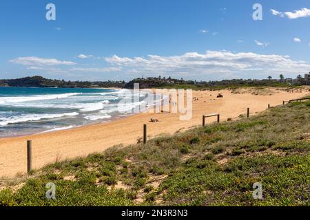 Plage de Mona Vale à Sydney Australie, plage de la côte est le jour d'été 2023, océan et sable en bord de mer, Australie Banque D'Images