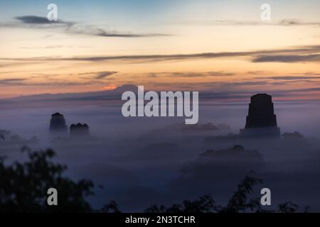 Lever du soleil sur les ruines de Tikal Banque D'Images