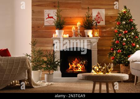 Belle chambre intérieure avec des fermes en pot, cheminée et arbre de Noël décoré Banque D'Images