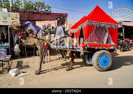 Camel Cart, marché de chameau de Pushkar, Rajasthan, Inde Banque D'Images