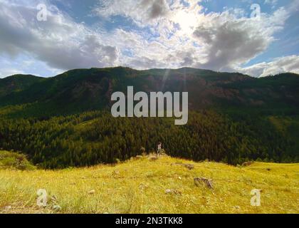 Fille voyageur dans un chapeau prend des photos sur le téléphone sur le panorama des montagnes et des rivières dans Altai pendant la journée. Banque D'Images